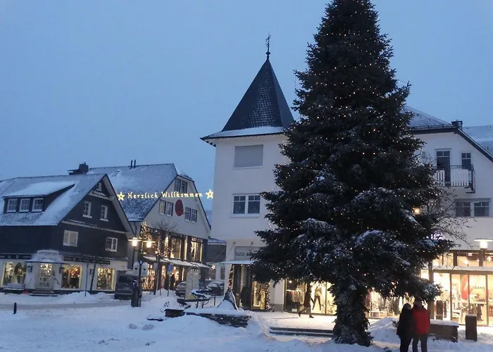 Winterberg Sport Apartment 8